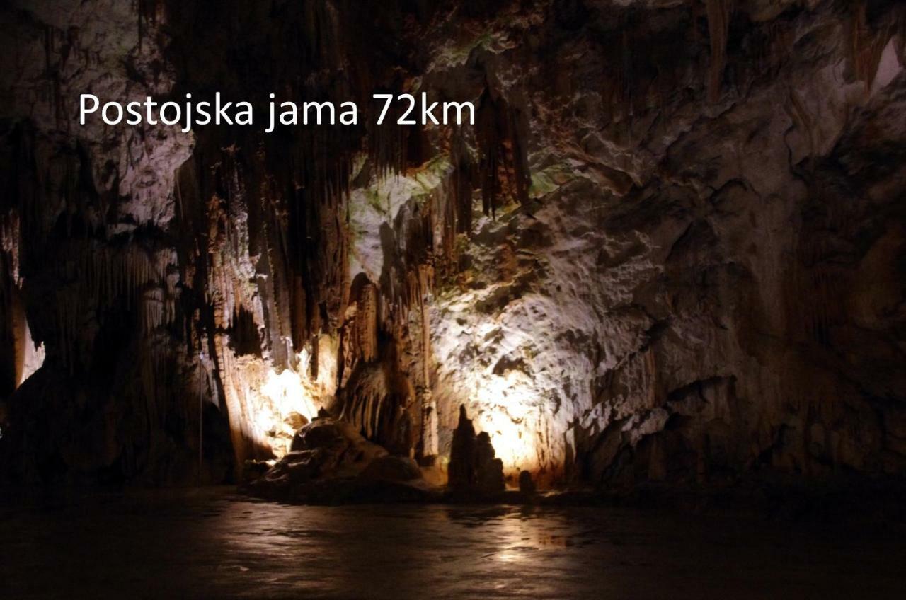Yellow Submarine Lucija Zewnętrze zdjęcie