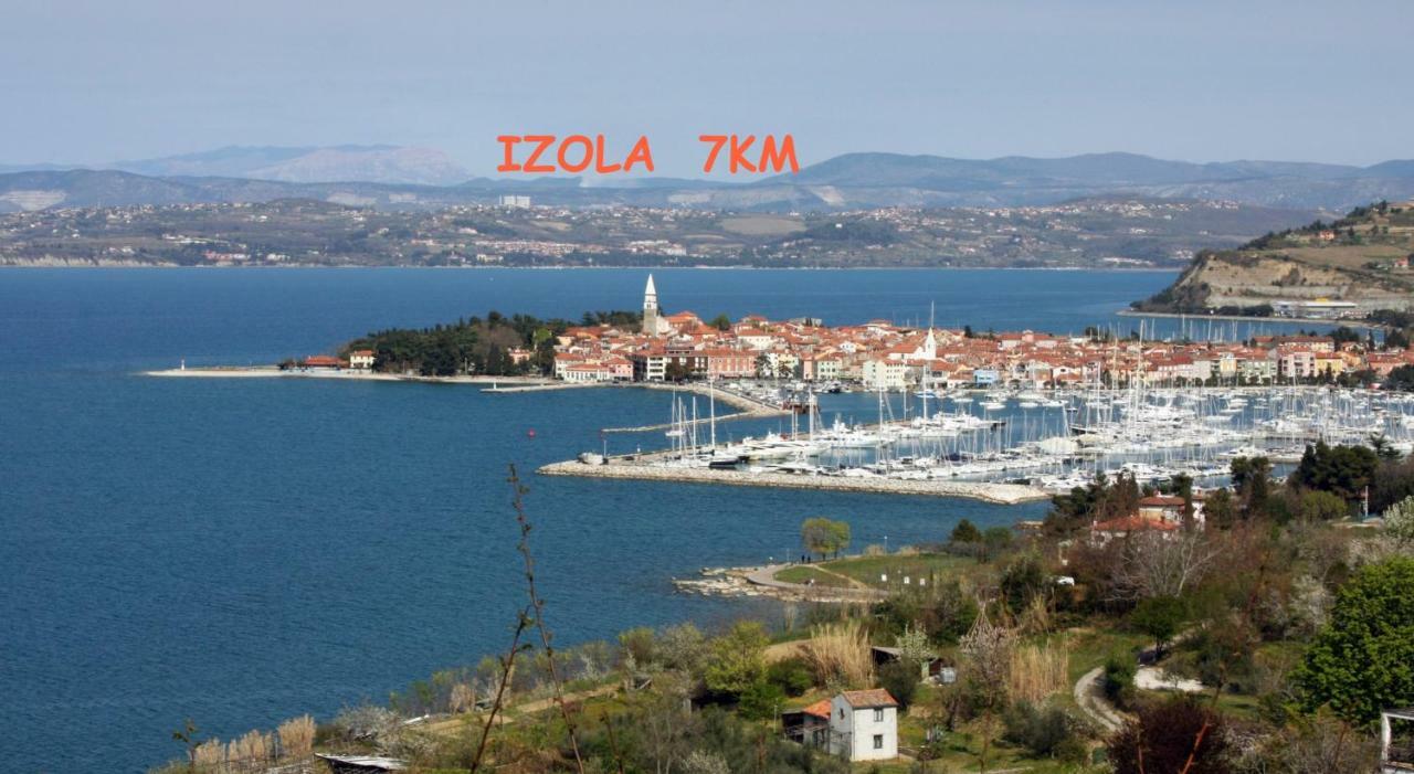 Yellow Submarine Lucija Zewnętrze zdjęcie